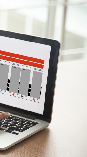 sfs group organigramm bildschirm